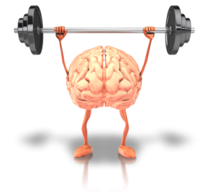 brain.fitness